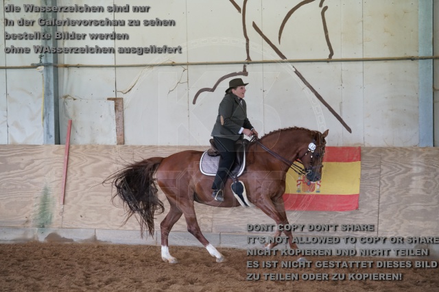 s_K3F04174.JPG